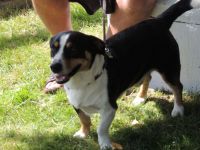 Sommerfest 2015 127